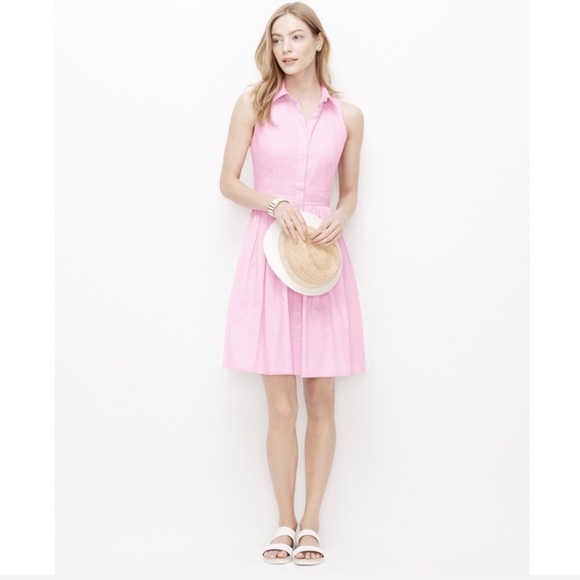 Ann Taylor Dresses & Skirts - NWOT Ann Taylor 50s Style Sleeveless Dress